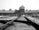 holokaust-696x542.jpg